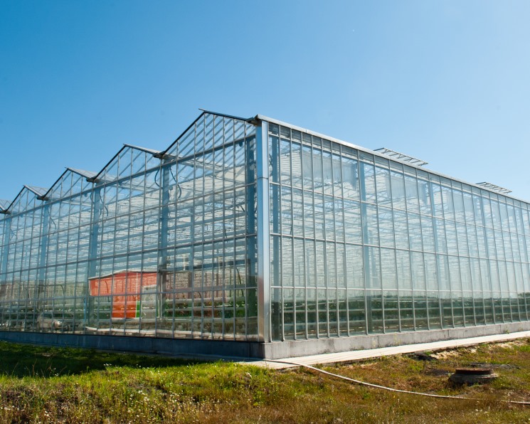 Модернизация тепличного комплекса «Южный» завершится в этом году
