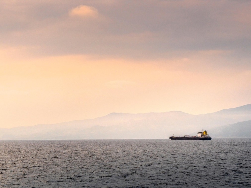 Ормузский кризис дает шанс для российского агроэкспорта