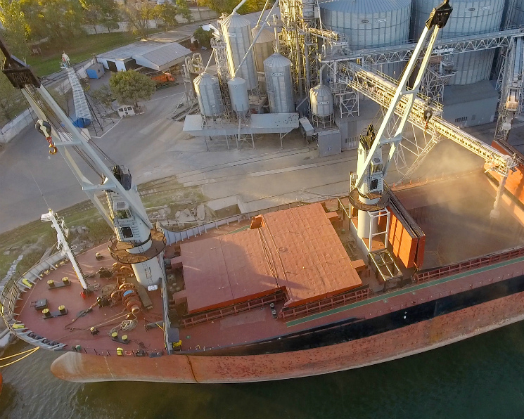 «Русагротранс» повысил оценку экспорта пшеницы в марте