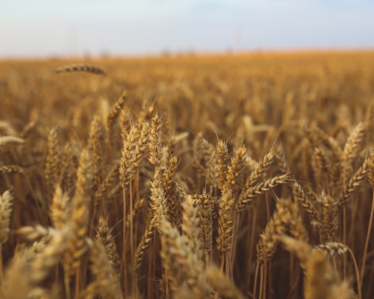 Самое интересное за неделю с 30 марта по 5 апреля