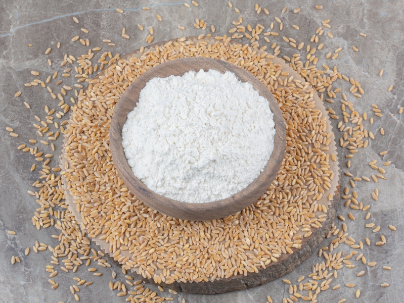 «Щелково Агрохим» начала строить завод по производству амилозного крахмала