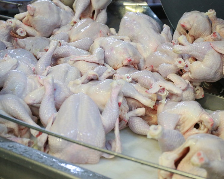 В первом квартале сельхозпроизводство выросло на 0,2%