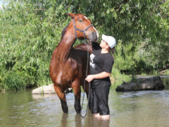 Организация водопоя для лошадей