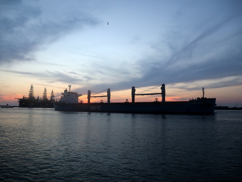 За девять месяцев сезона-2025/26 Россия экспортировала почти 37,8 млн тонн пшеницы