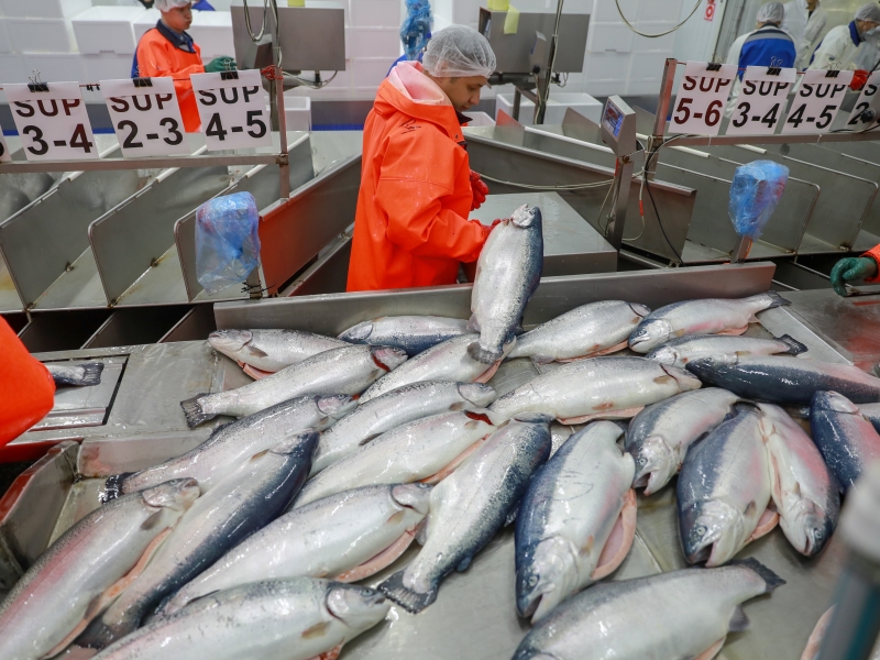 Законопроект об обязательной продаже части продукции на бирже внесен в Госдуму