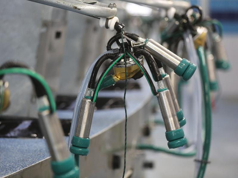 Экспорт молочной продукции к 2030 году может достигнуть  млрд