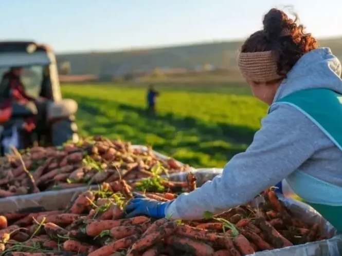 РСХБ: 53% предпринимателей в производстве пищевых продуктов — женщины