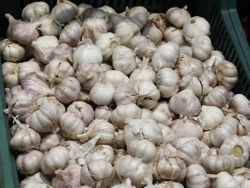 В Подмосковье построят предприятие по глубокой переработке чеснока